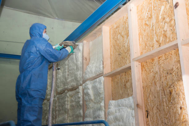 Best Insulation Removal  in Chehalis, WA